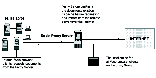 Squid-StandAlone